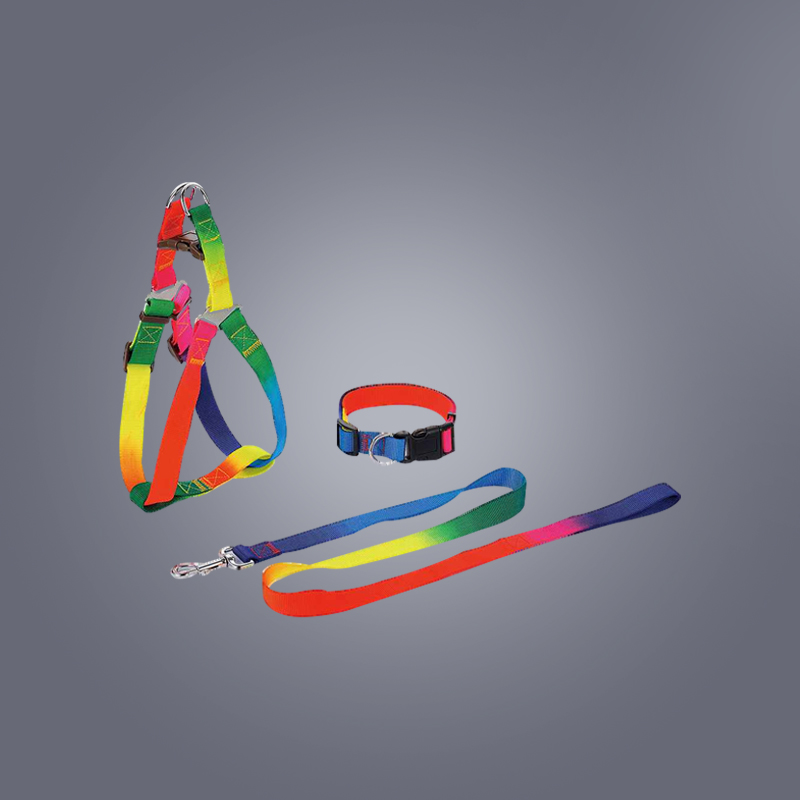 Color psychology in rainbow dog leash