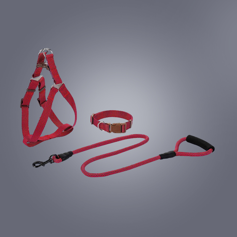 The Everyday Essential: Nylon Dog Leashes Unveiled